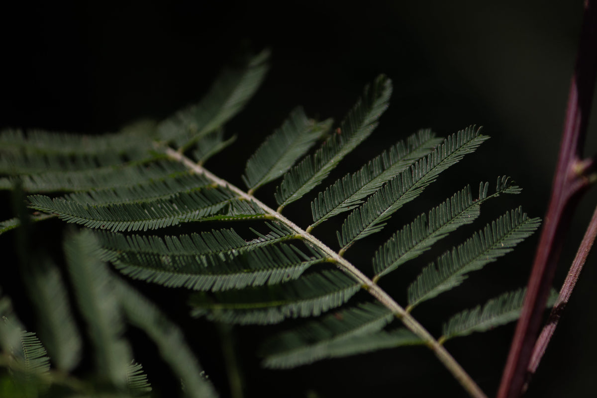 C-PTSD Lived Experience: Part 1